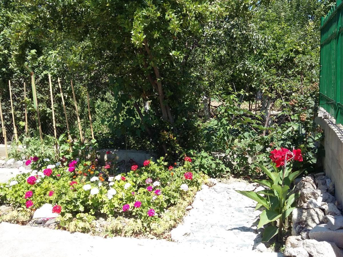 Villa Sunny Day Св. Св. Константин и Елена Екстериор снимка